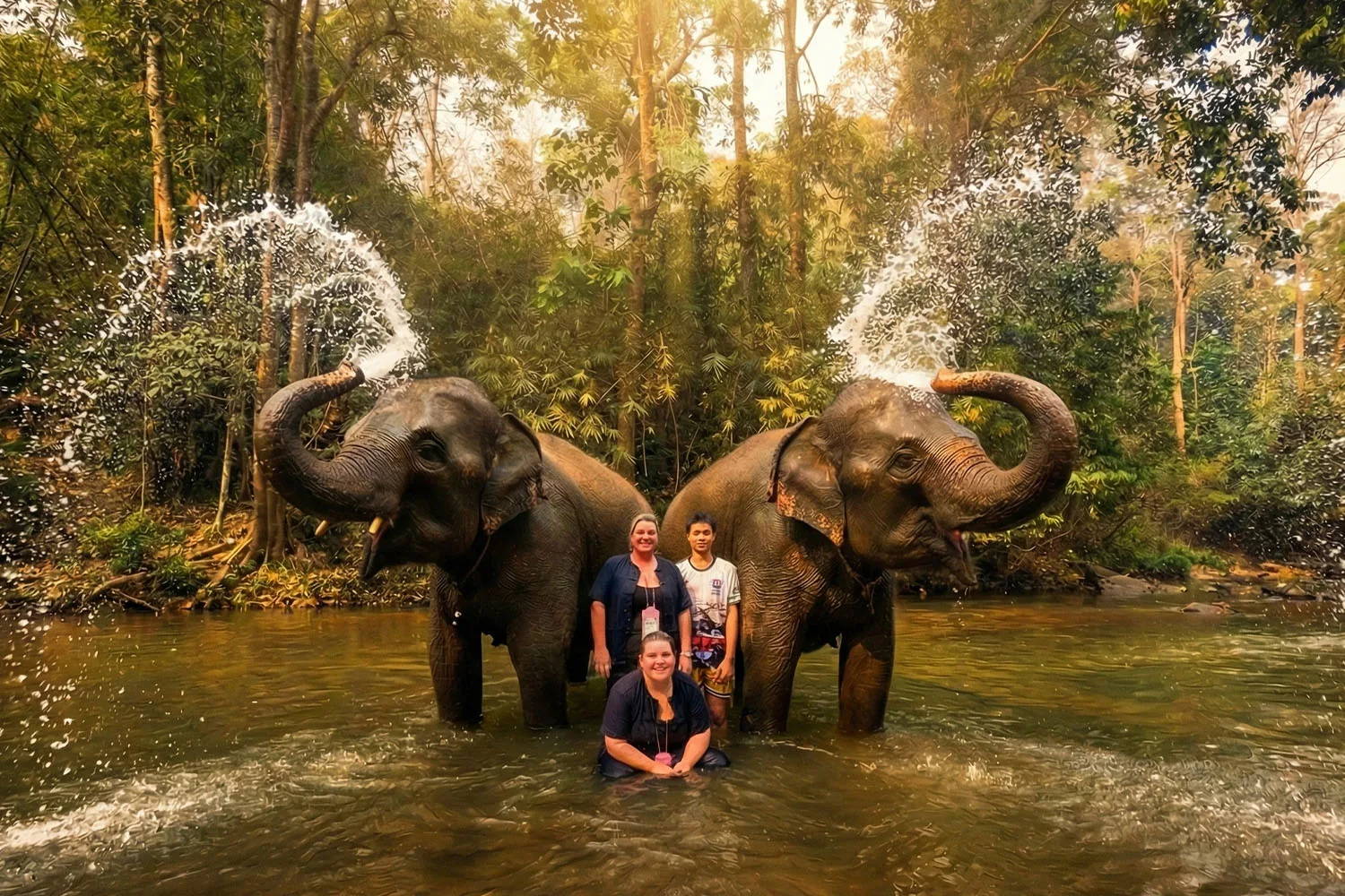 Wild Elephants Encounters